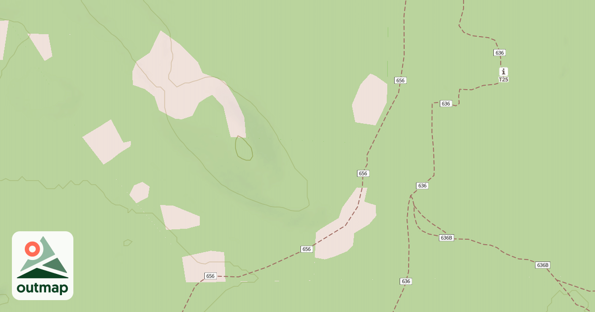 Map of USFS National Forest System Roads {A9B9DE6C-C9A9-424B-B30A-9DD520F16F0A}