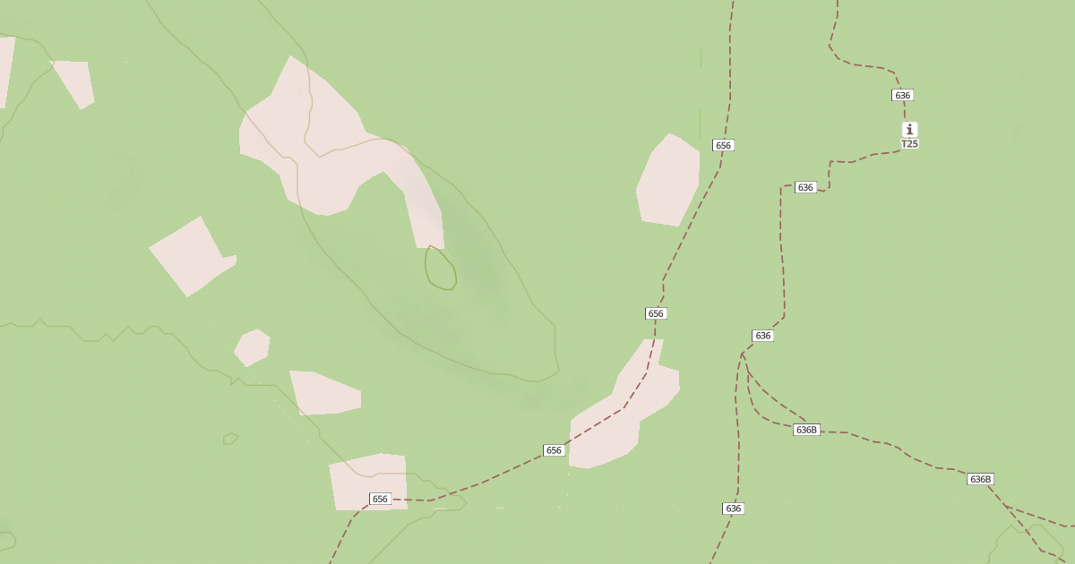 Map preview of USFS National Forest System Roads {A9B9DE6C-C9A9-424B-B30A-9DD520F16F0A}