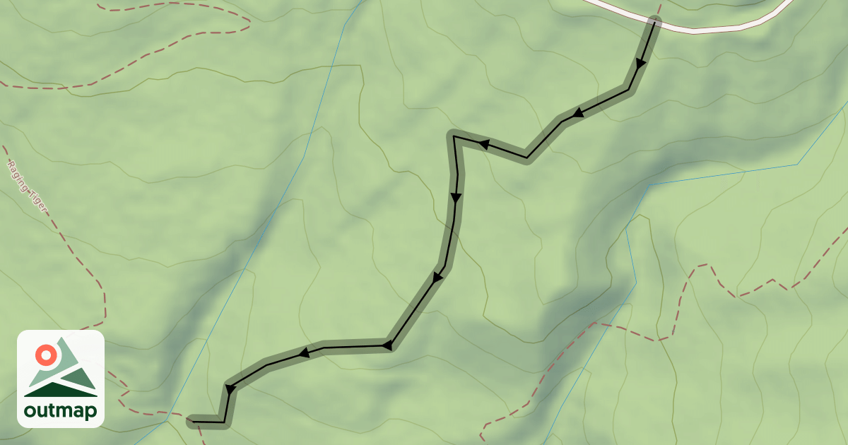 Map of Physical Therapy (Lower)