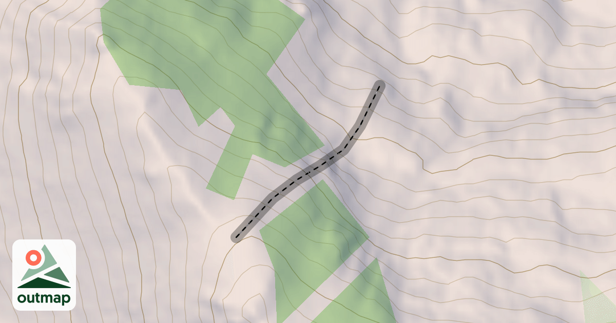 Map of Six Dead Trees