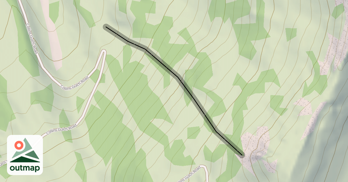 Map of Spruces