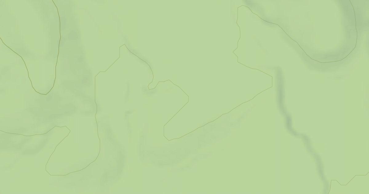 Map preview of USFS Motor Vehicle Use Map Roads {858FEACD-F4AC-4AC8-812F-C11AF36AD9AD}