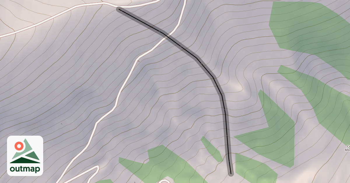 Map of Memorial Forest