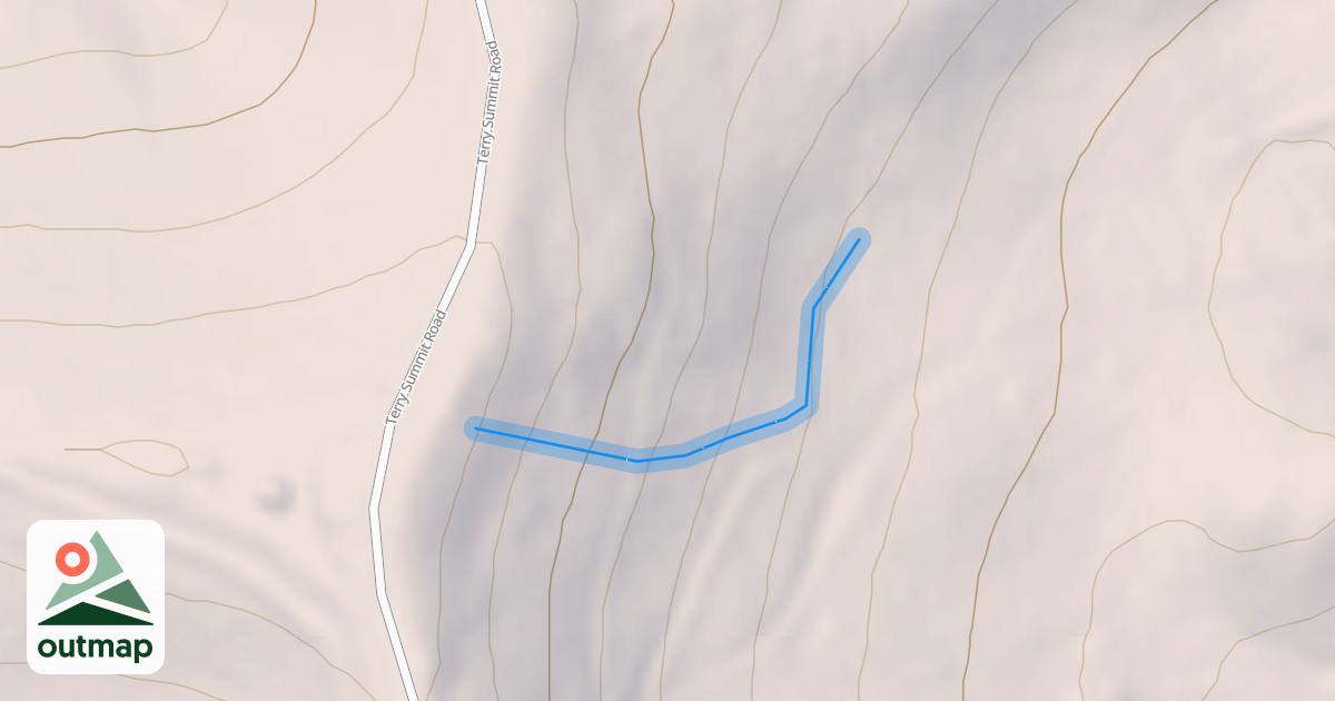 Map of Collider