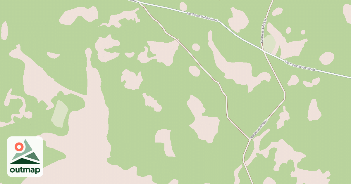 Map of USFS National Forest System Roads {260814E8-1E0F-40D5-A1F6-4FA4C3F2FF8C}