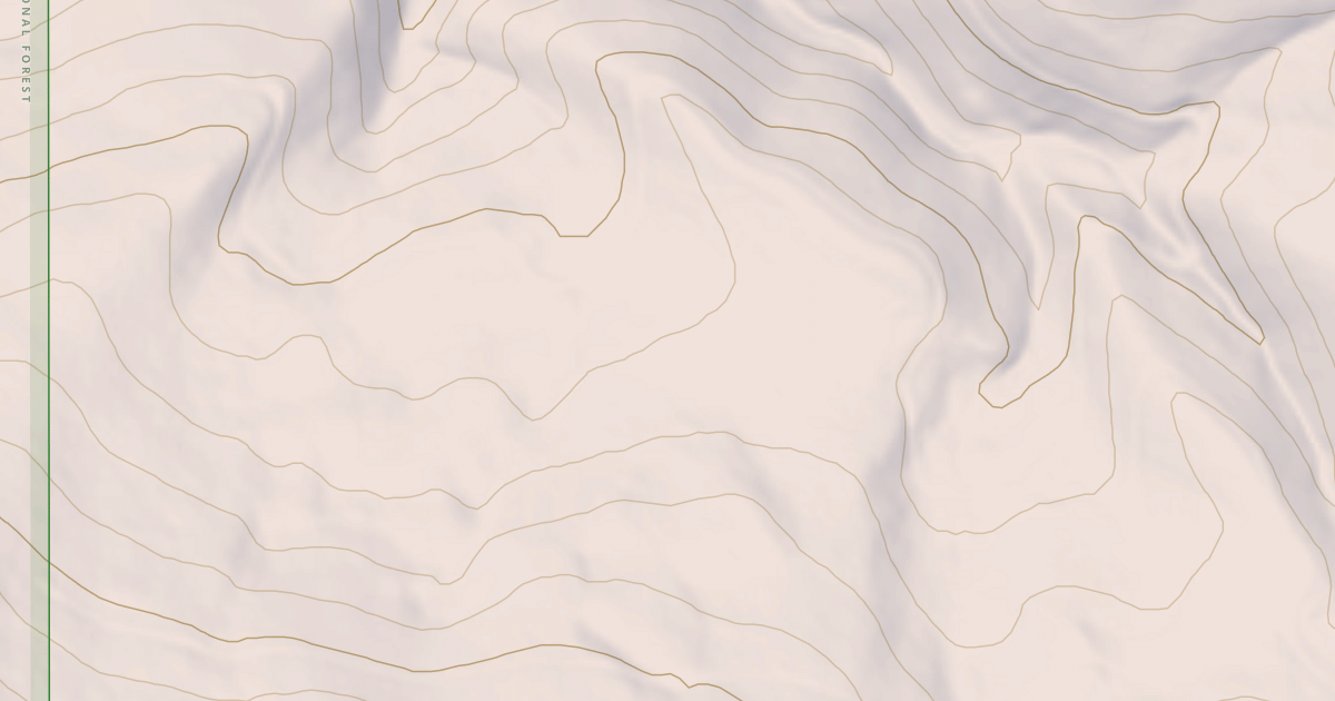 Map preview of USFS National Forest System Roads {81DAE156-FD54-4460-AC26-ADDFB3BBE8D9}
