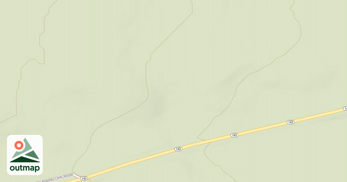 Map of USFS National Forest System Roads {4A96DBCA-1222-45A6-B441-870456F3025D}