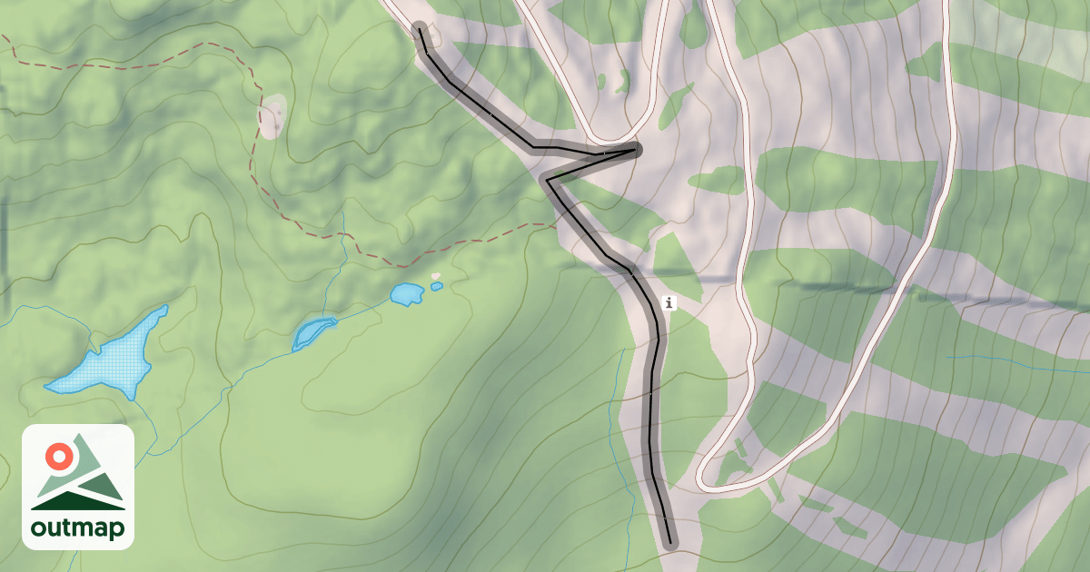 Map of Shoreline