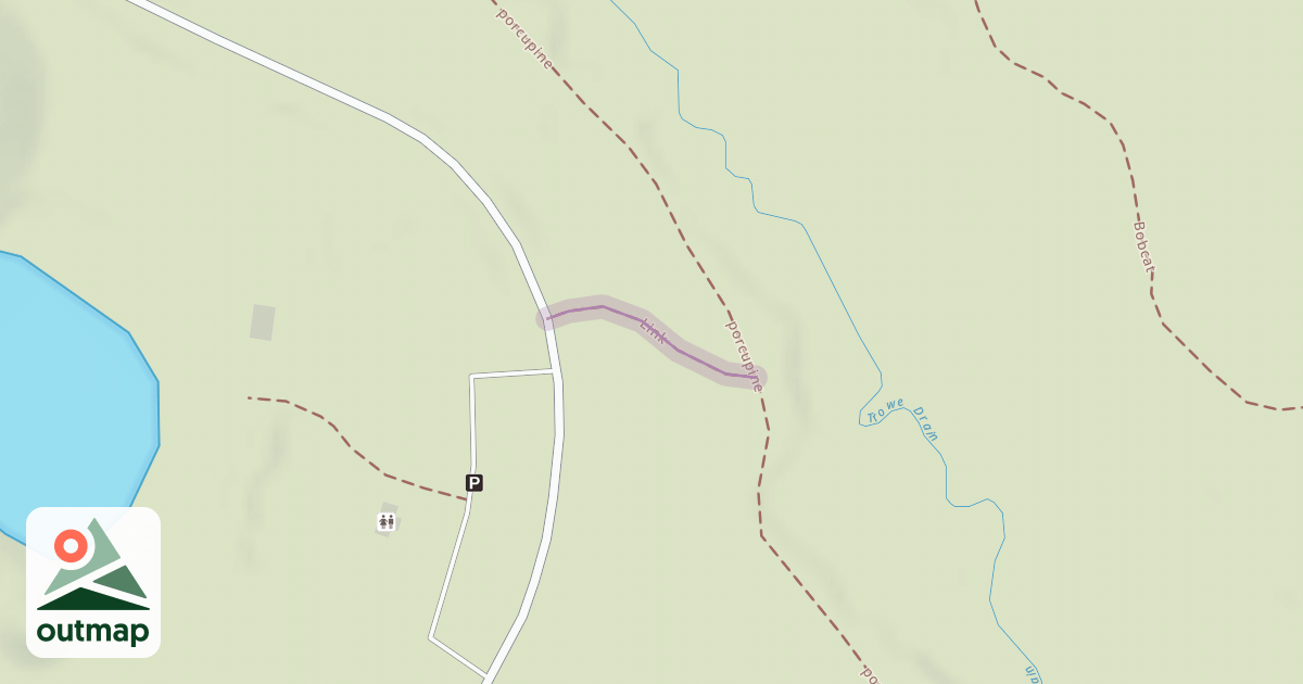 Map of Link