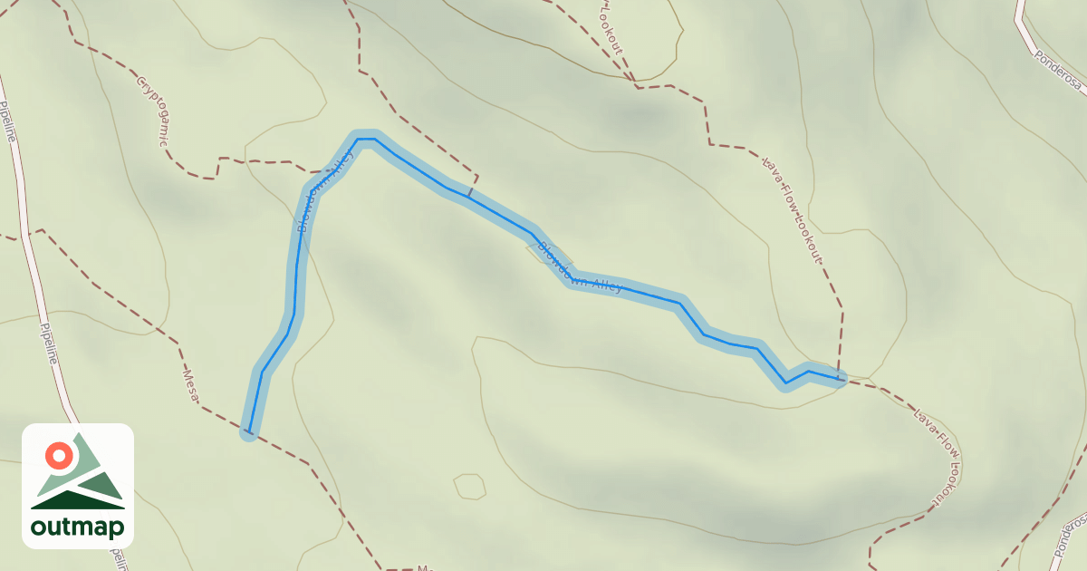 Map of Blowdown Alley