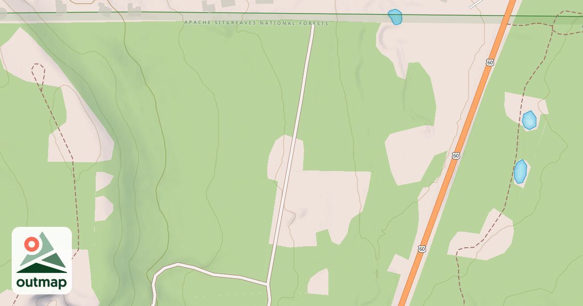 Map of USFS National Forest System Roads {4880AD5E-CE5C-4728-9AD0-13D155694E8B}