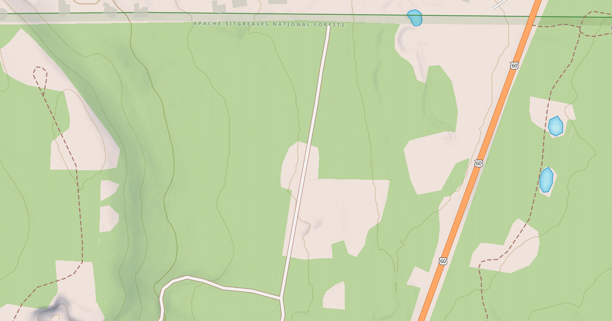 Map preview of USFS National Forest System Roads {4880AD5E-CE5C-4728-9AD0-13D155694E8B}