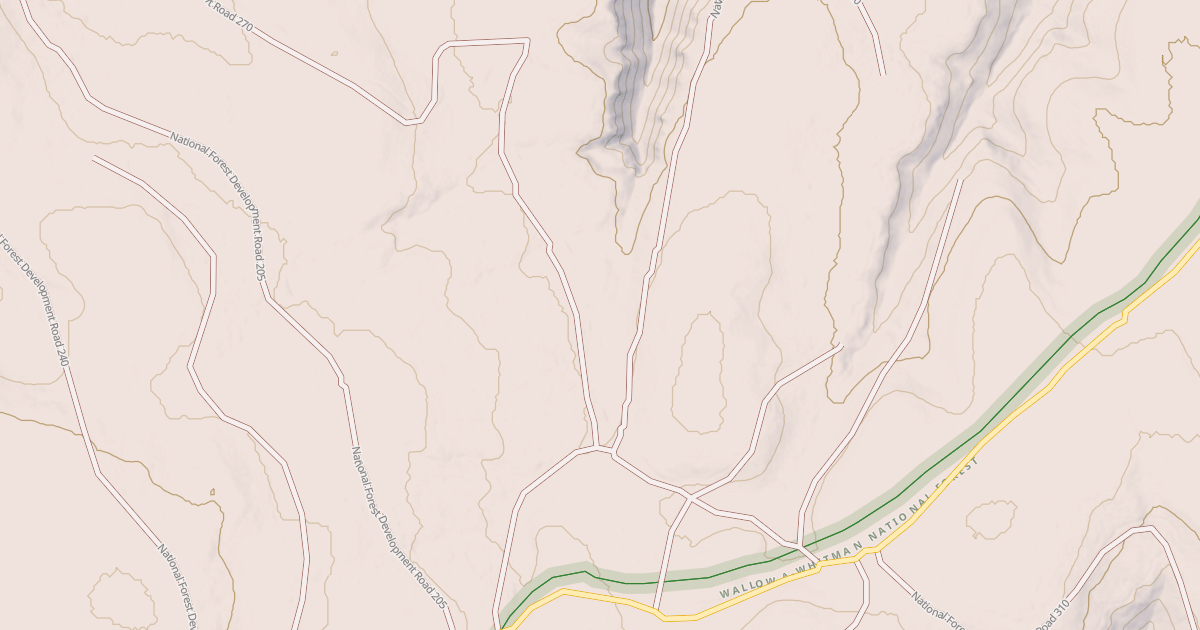 Map preview of USFS National Forest System Roads {8B9B3AB8-A8D6-4E99-83F6-A258C3E23FED}