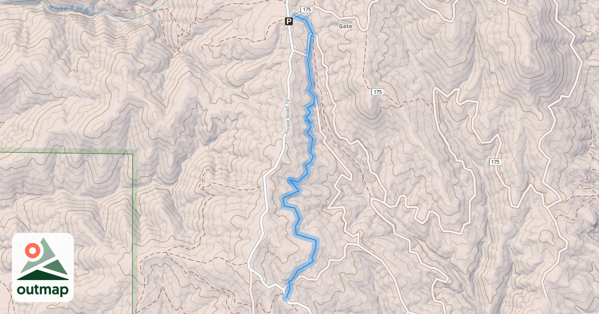 Map of Net Zero