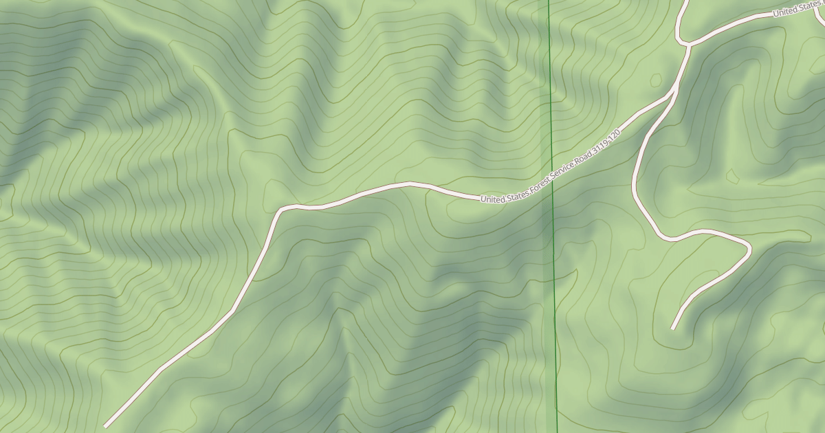 Map preview of USFS National Forest System Roads {1F1F4F40-E461-4FBD-8D01-3454CDAE0ACF}