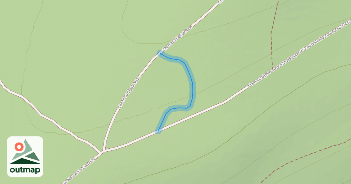 Map of Single entre le Chemin d'Exploitation et le Chemin Départemental Stratégique N° 2 de Belleville-sur-Meuse à la Grimoirie