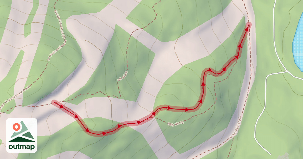 Map of 23 King (haut)
