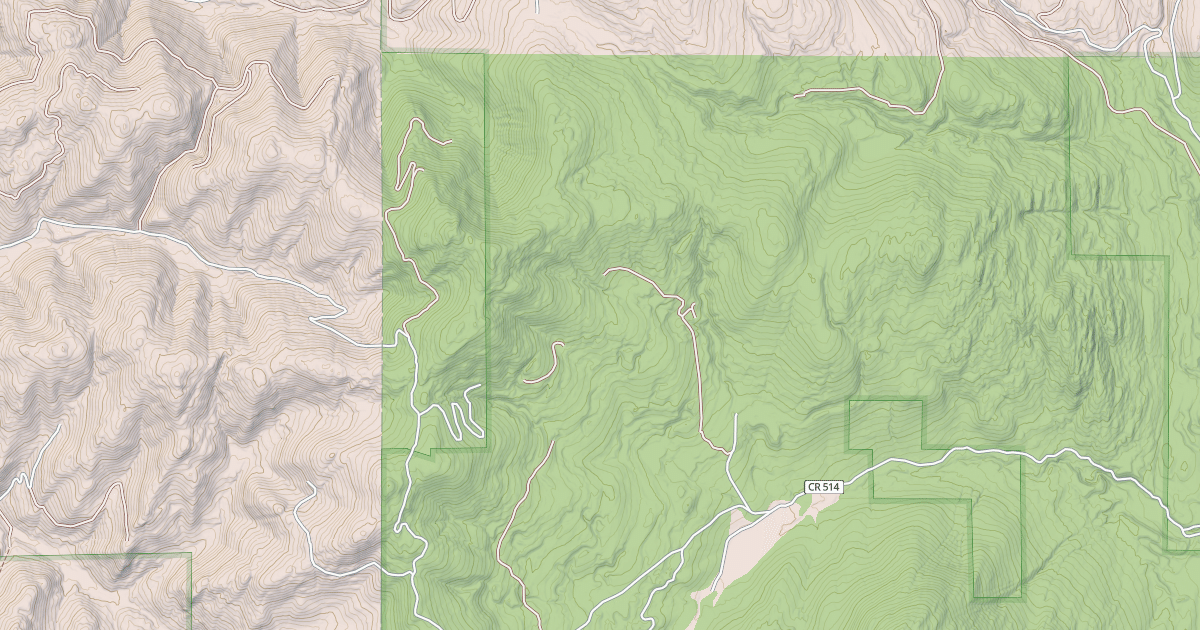 Map preview of USFS Motor Vehicle Use Map Roads {4114F0B6-3E00-475E-A541-4CD92E997E72}