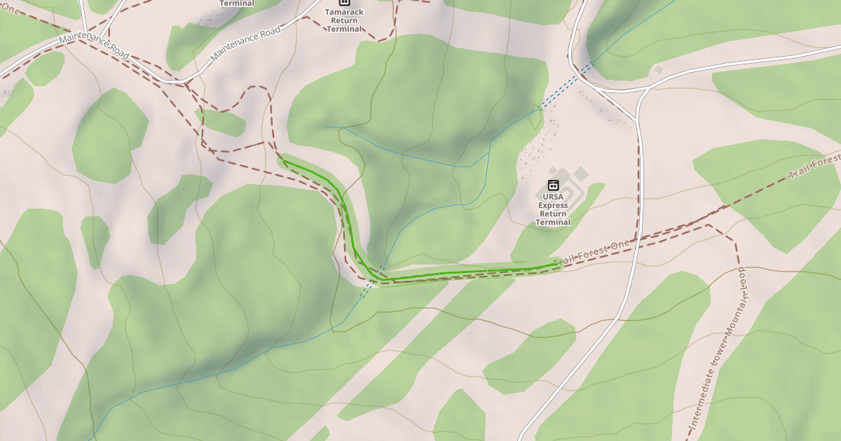 Map preview of Grizzly Access