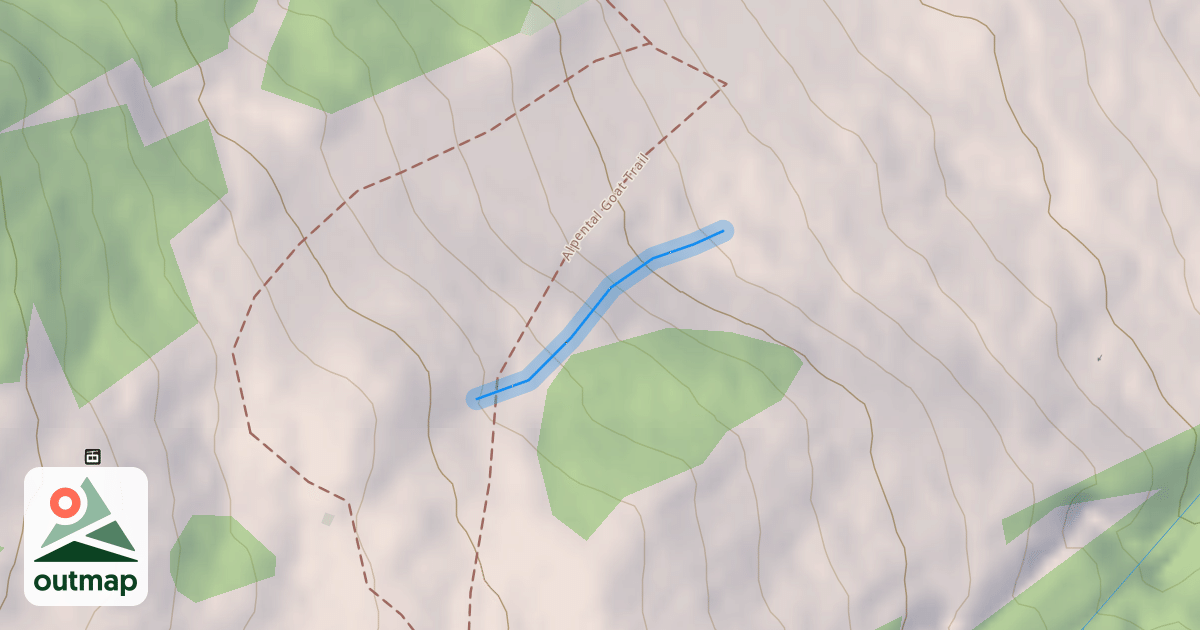Map of Pumpkin Patch