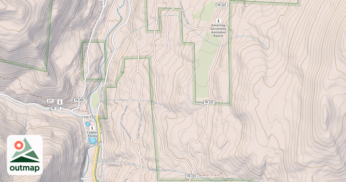 Map of USFS National Forest System Roads {6C1D9E23-B60A-4E22-B8DB-E97065A1E02B}