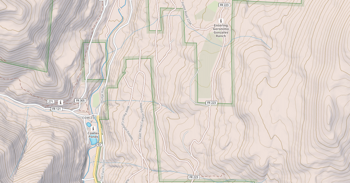 Map preview of USFS National Forest System Roads {6C1D9E23-B60A-4E22-B8DB-E97065A1E02B}