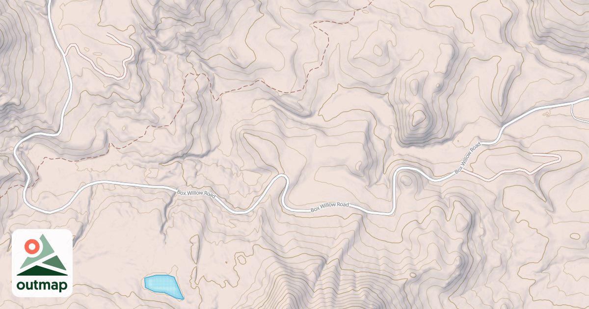Map of BOX WILLOW