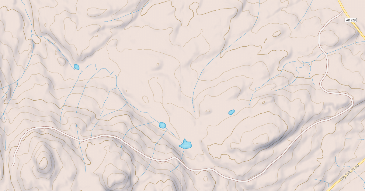 Map preview of USFS National Forest System Roads {8AC18F84-519F-427B-B5C3-9E7709F4C470}