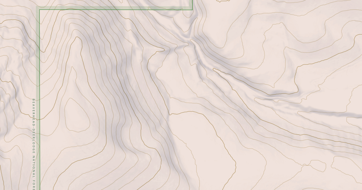 Map preview of BLM National GTLF Public Motorized Roads 297d7686-57ea-42f8-8558-99d011e4ee15
