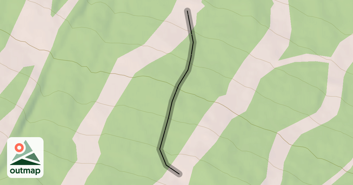 Map of Millennium Maze