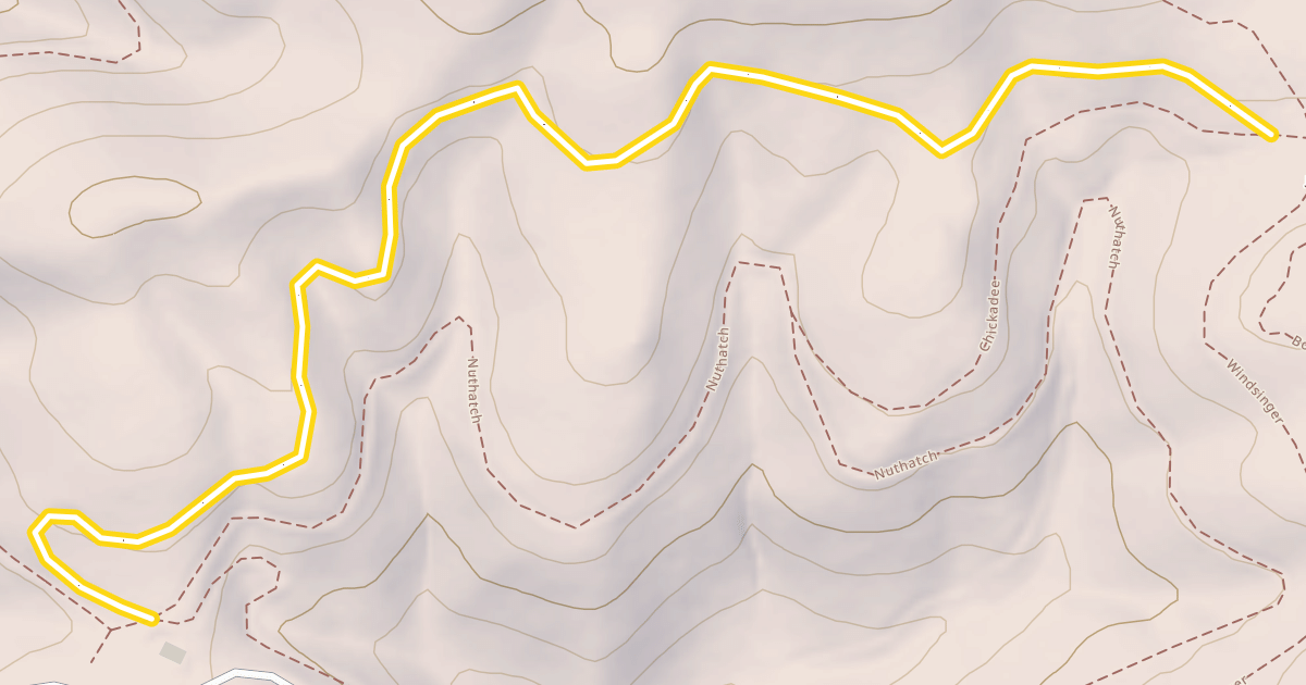 Map preview of Upsy-Daisy