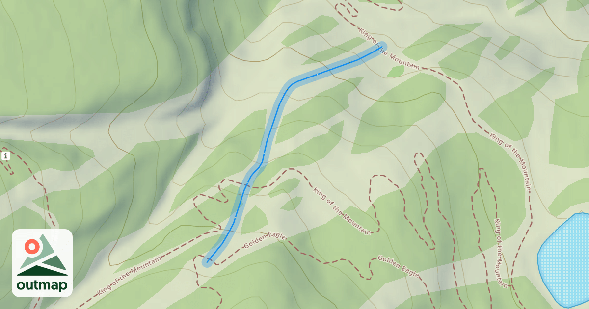 Map of Short Swing