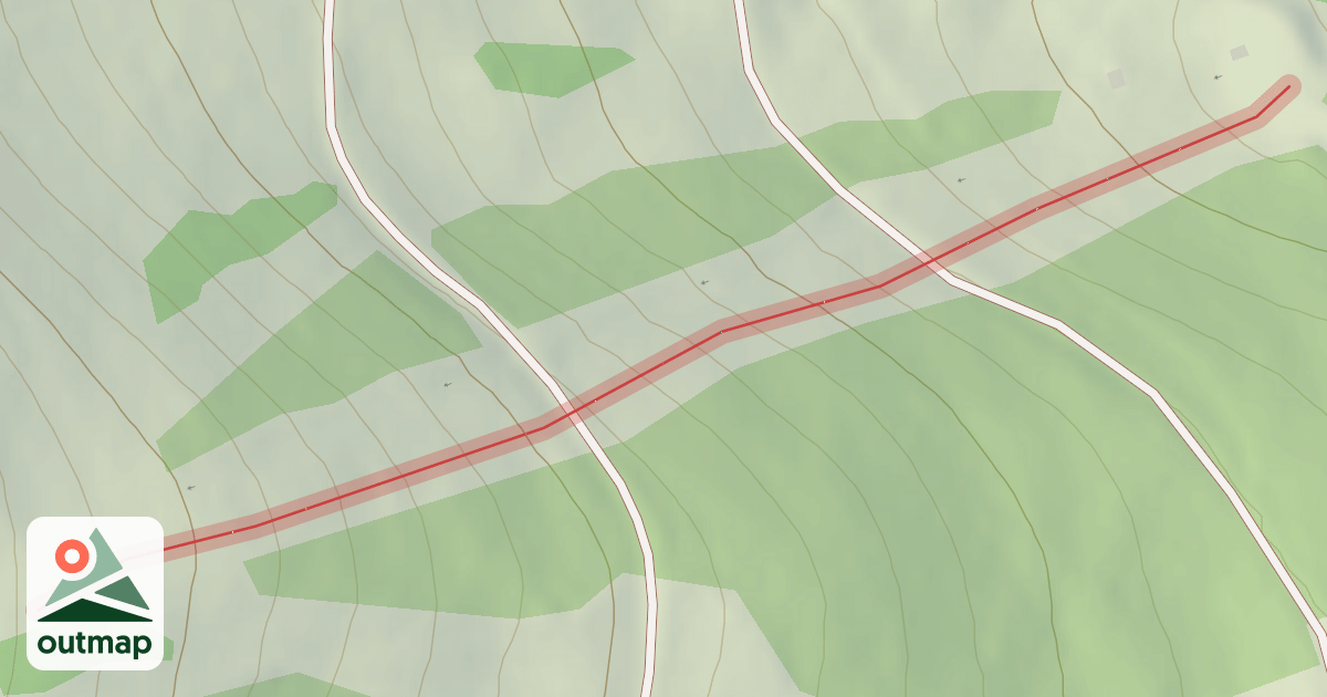 Map of Bronner noire