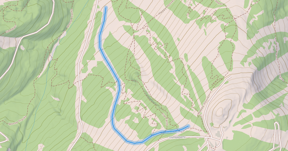 Map preview of Safari