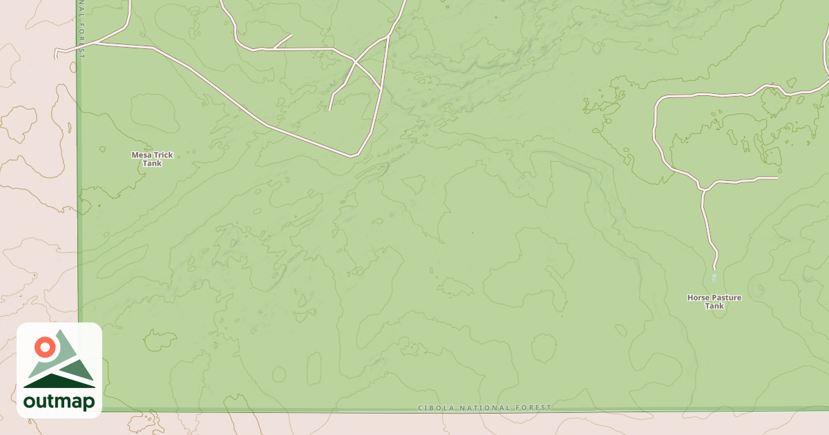 Map of USFS National Forest System Roads {9778A931-334B-4772-AC06-30DBE252C2CE}