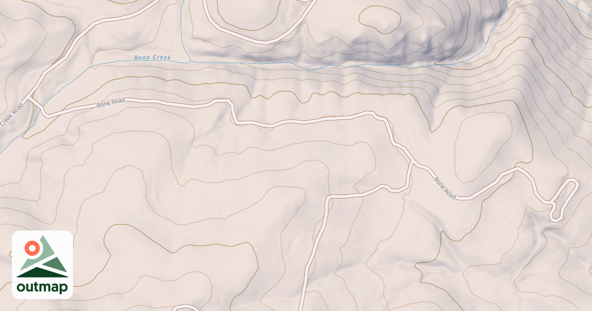Map of BONE