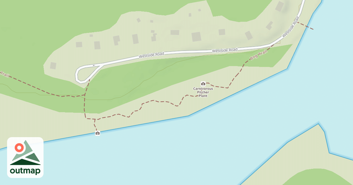 Map of Black Moshannon State Park Trails