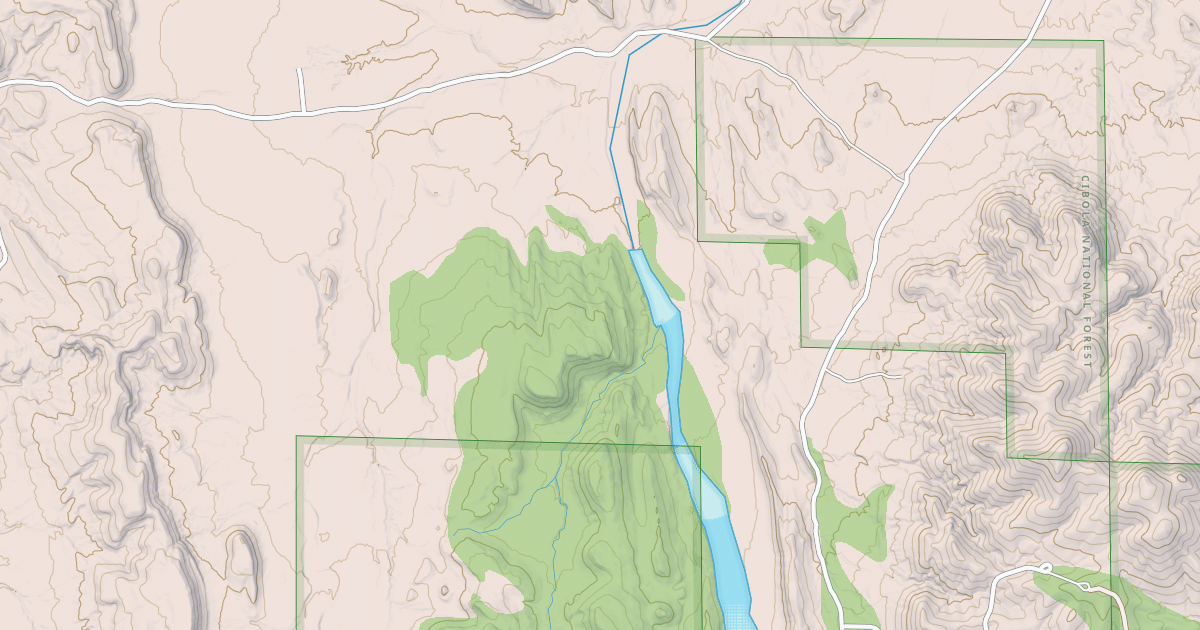 Map preview of USFS Motor Vehicle Use Map Roads {88C1B9C5-2F71-4D64-9796-A54185F66001}