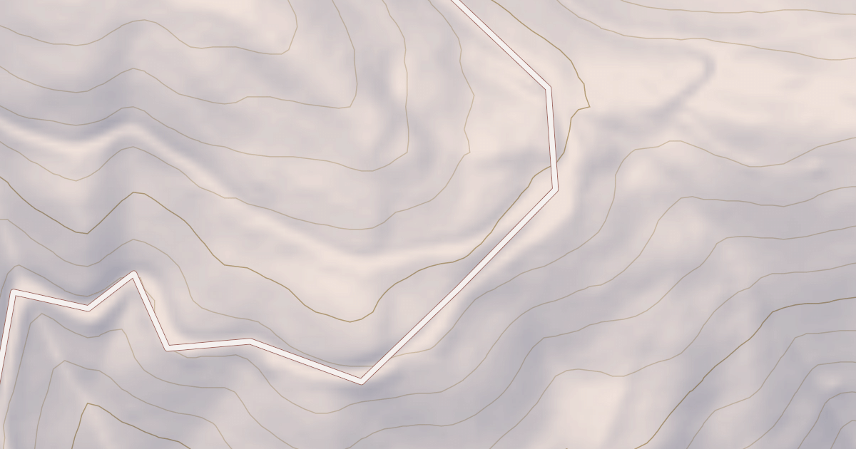 Map preview of PINE SWAMP