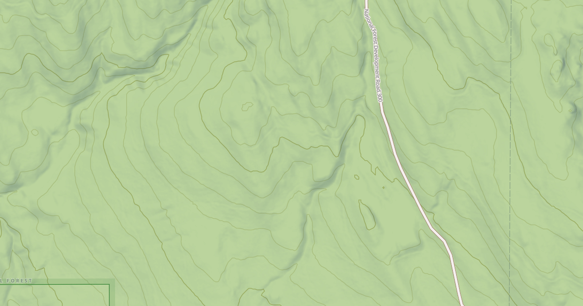 Map preview of USFS Motor Vehicle Use Map Roads {1B4838DF-9393-41DB-92A1-019E65CC8E01}