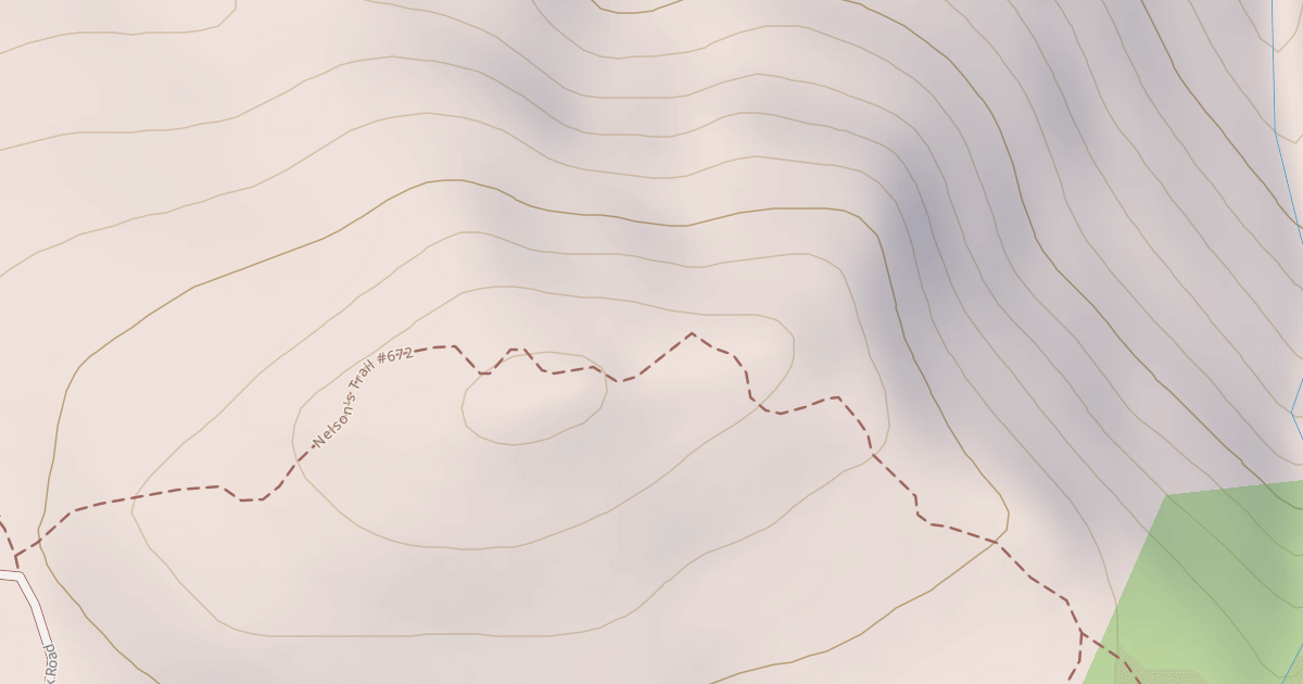 Map preview of Nelsons