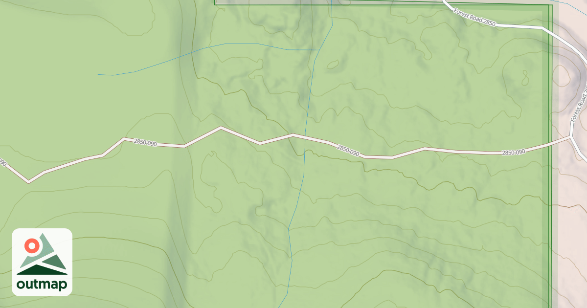 Map of USFS National Forest System Roads {1659F6A5-FF2E-4E38-92A9-D08D600CFE3A}