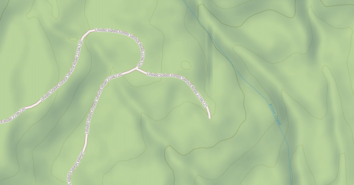 Map preview of USFS National Forest System Roads {BBB06573-0842-4EBF-9E7E-5BE4F34E7820}