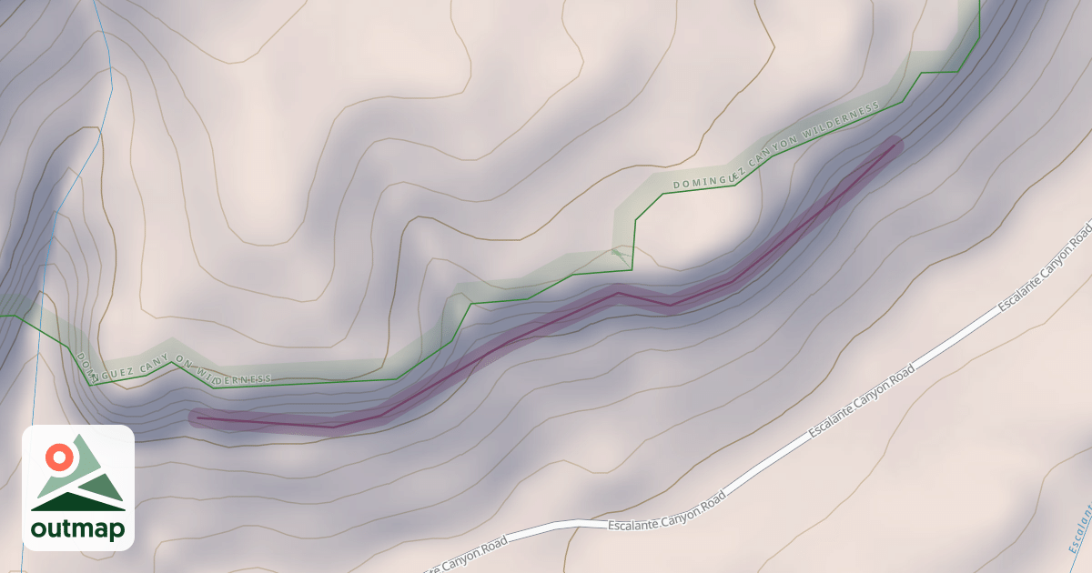 Map of Interiors Wall