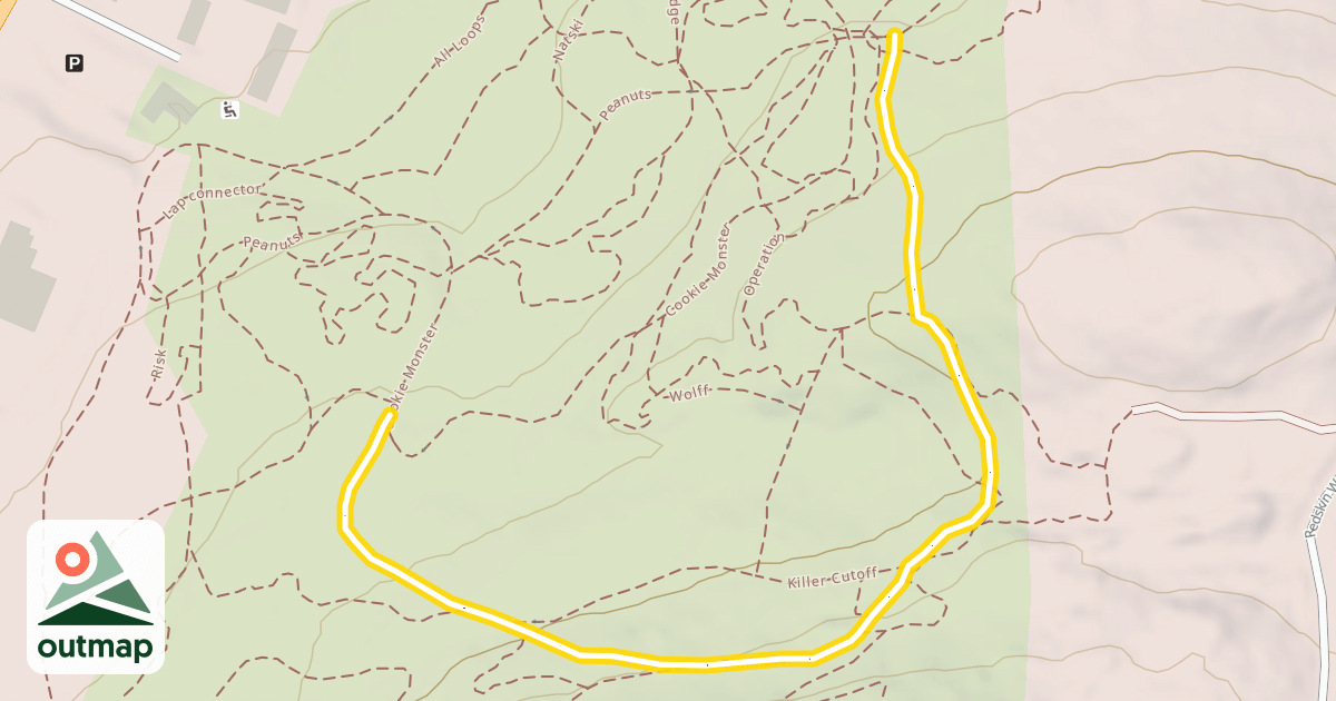 Map of Timinator
