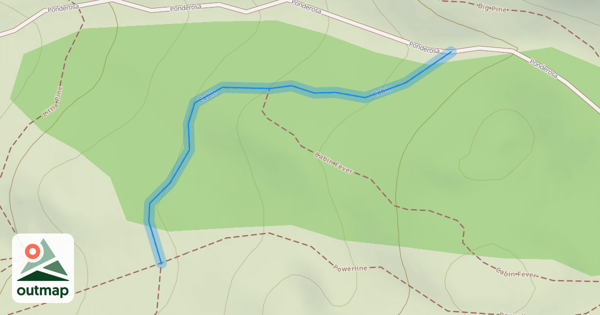Map of Cabin