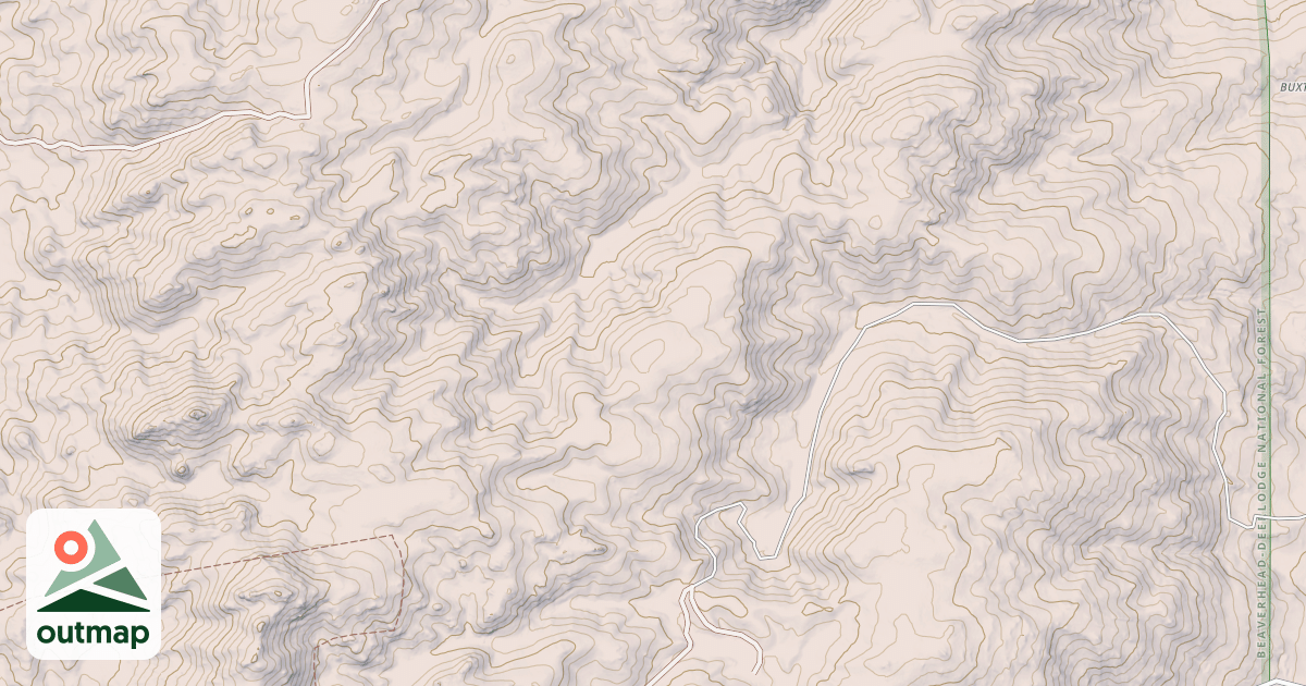 Map of SINGLE TREE