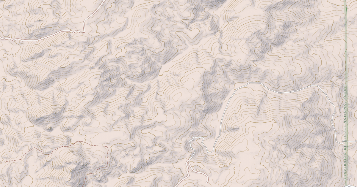 Map preview of SINGLE TREE