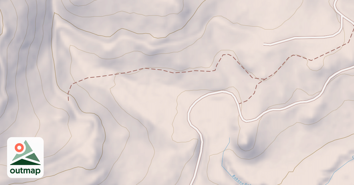 Map of USFS National Forest System Roads {CF6FC736-4DB2-4E90-A88F-6F6E16572D95}