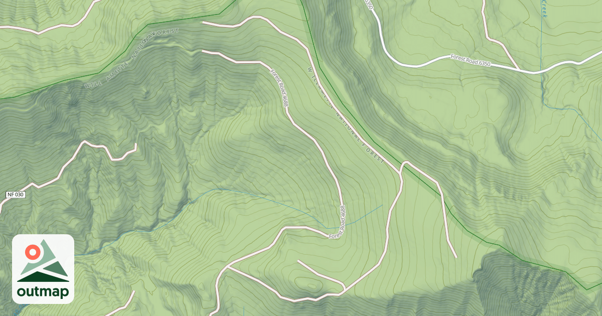 Map of USFS National Forest System Roads {BDA8AD02-C84A-4580-852C-A7FCFE32982A}